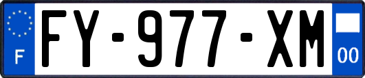 FY-977-XM