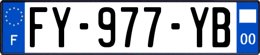 FY-977-YB