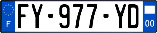 FY-977-YD