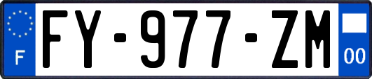 FY-977-ZM