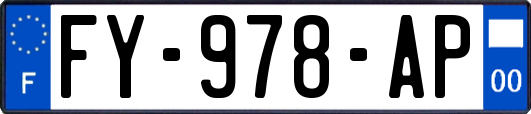FY-978-AP