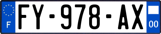 FY-978-AX
