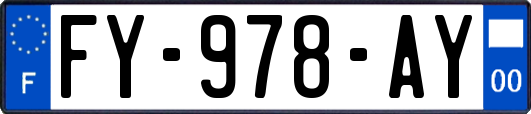FY-978-AY