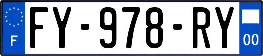 FY-978-RY