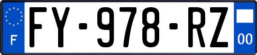 FY-978-RZ