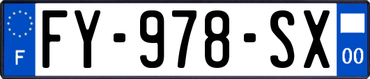 FY-978-SX