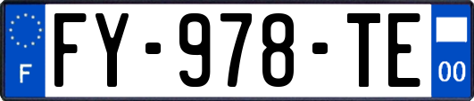 FY-978-TE