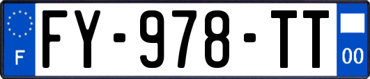 FY-978-TT