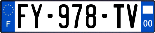 FY-978-TV
