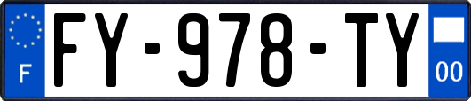 FY-978-TY