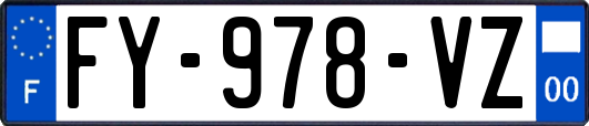 FY-978-VZ