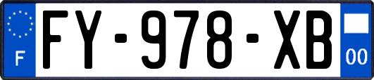 FY-978-XB