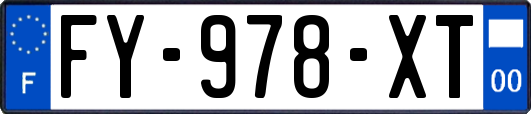 FY-978-XT