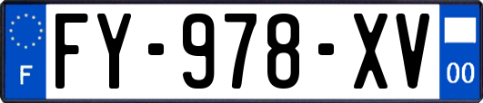 FY-978-XV