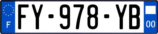 FY-978-YB