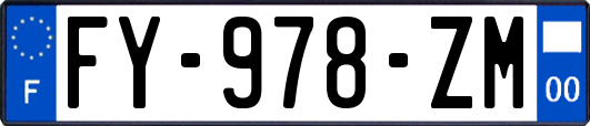 FY-978-ZM