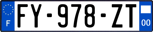 FY-978-ZT