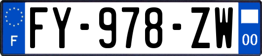 FY-978-ZW