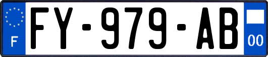 FY-979-AB