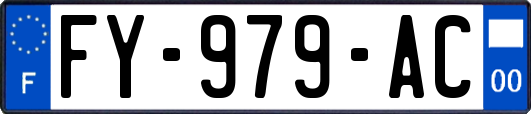 FY-979-AC