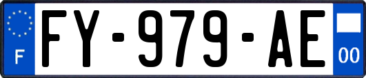 FY-979-AE