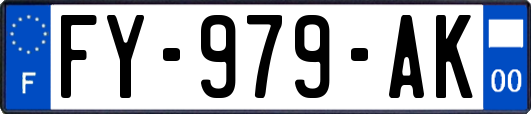 FY-979-AK