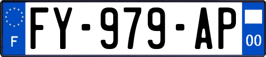 FY-979-AP