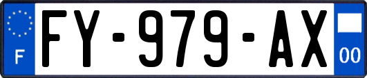 FY-979-AX