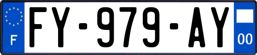 FY-979-AY