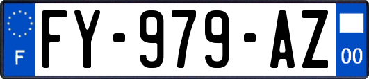FY-979-AZ