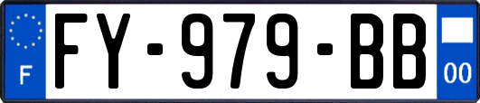 FY-979-BB