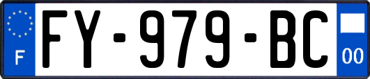 FY-979-BC