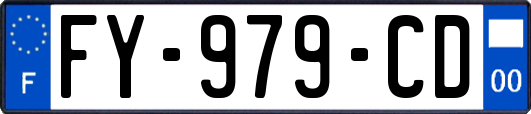 FY-979-CD