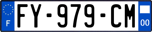 FY-979-CM