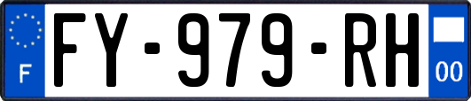 FY-979-RH