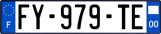 FY-979-TE