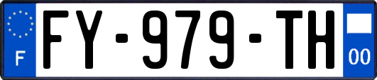 FY-979-TH