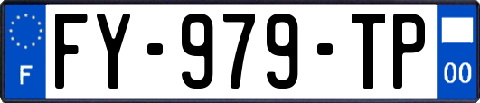 FY-979-TP