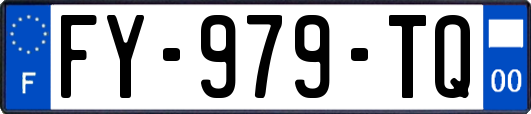 FY-979-TQ