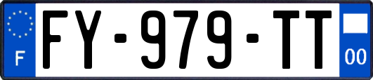 FY-979-TT