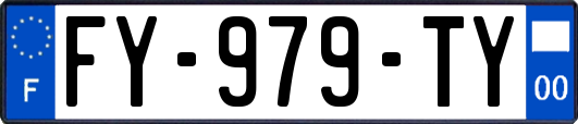 FY-979-TY