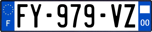 FY-979-VZ
