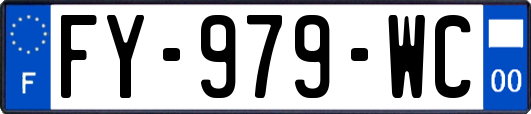 FY-979-WC