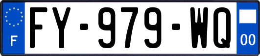 FY-979-WQ