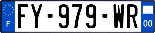 FY-979-WR