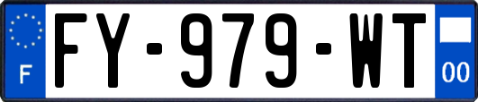 FY-979-WT