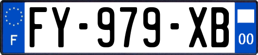 FY-979-XB