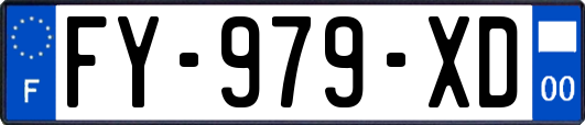 FY-979-XD