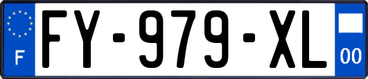 FY-979-XL