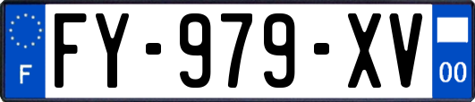 FY-979-XV